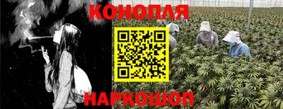 не бодяженный Гатчина