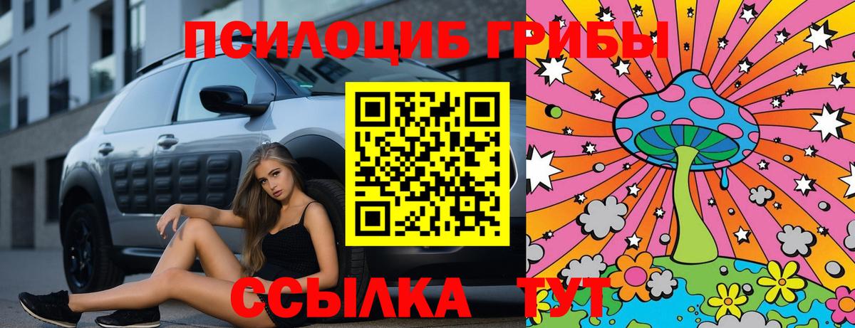 Псилоцибиновые грибы мухоморы Вятские Поляны