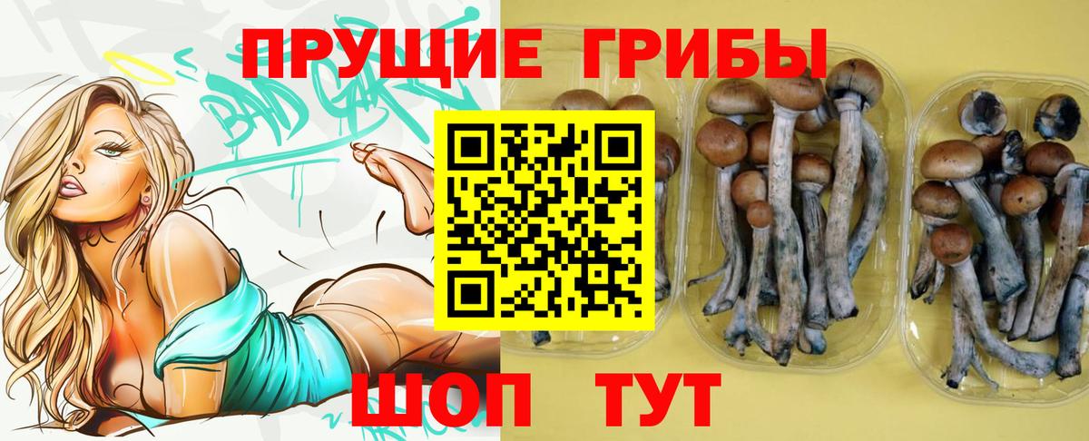Псилоцибиновые грибы Psilocybe  Вход с VPN  купить наркотики цена  Вятские Поляны 
